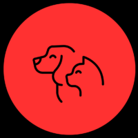 Pet Shop