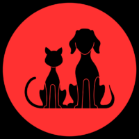 Pets