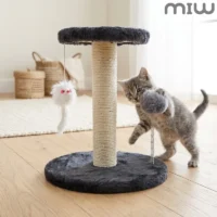 Arranhador para Gatos com Brinquedo e Base Estável - Ótimo Custo-Benefício