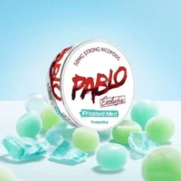 Bolso sem Snus com Bolsa Bucal - Ideal para Iniciantes